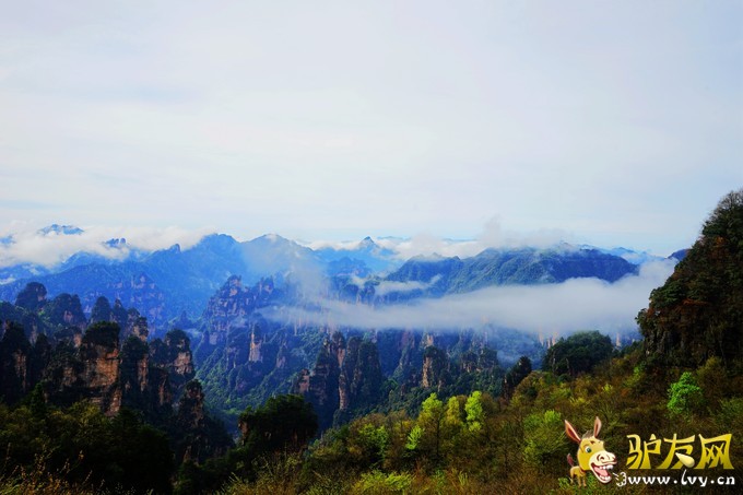 天子山云海2.jpeg